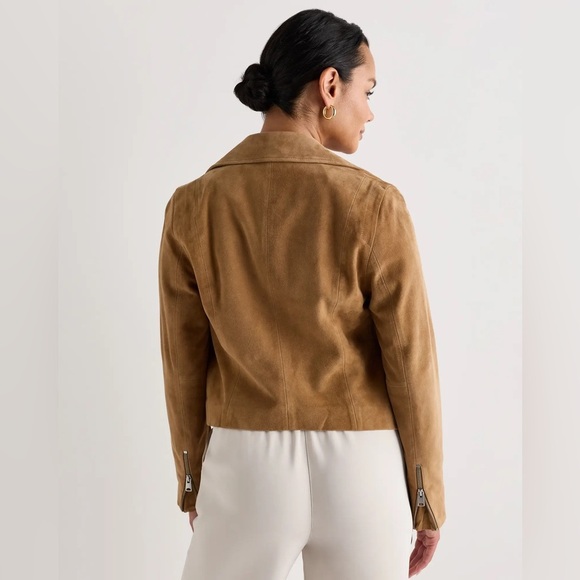 Quince 100% Suede Biker Jacket in XS pecan brown - Picture 3 of 16